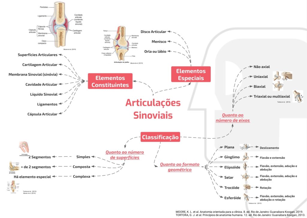 Mapa Mental Articulações Sinoviais AnatoCast